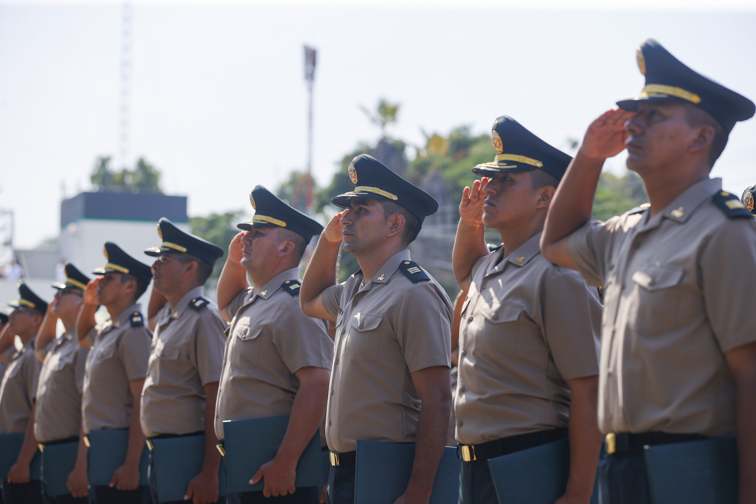 Asimilados PNP