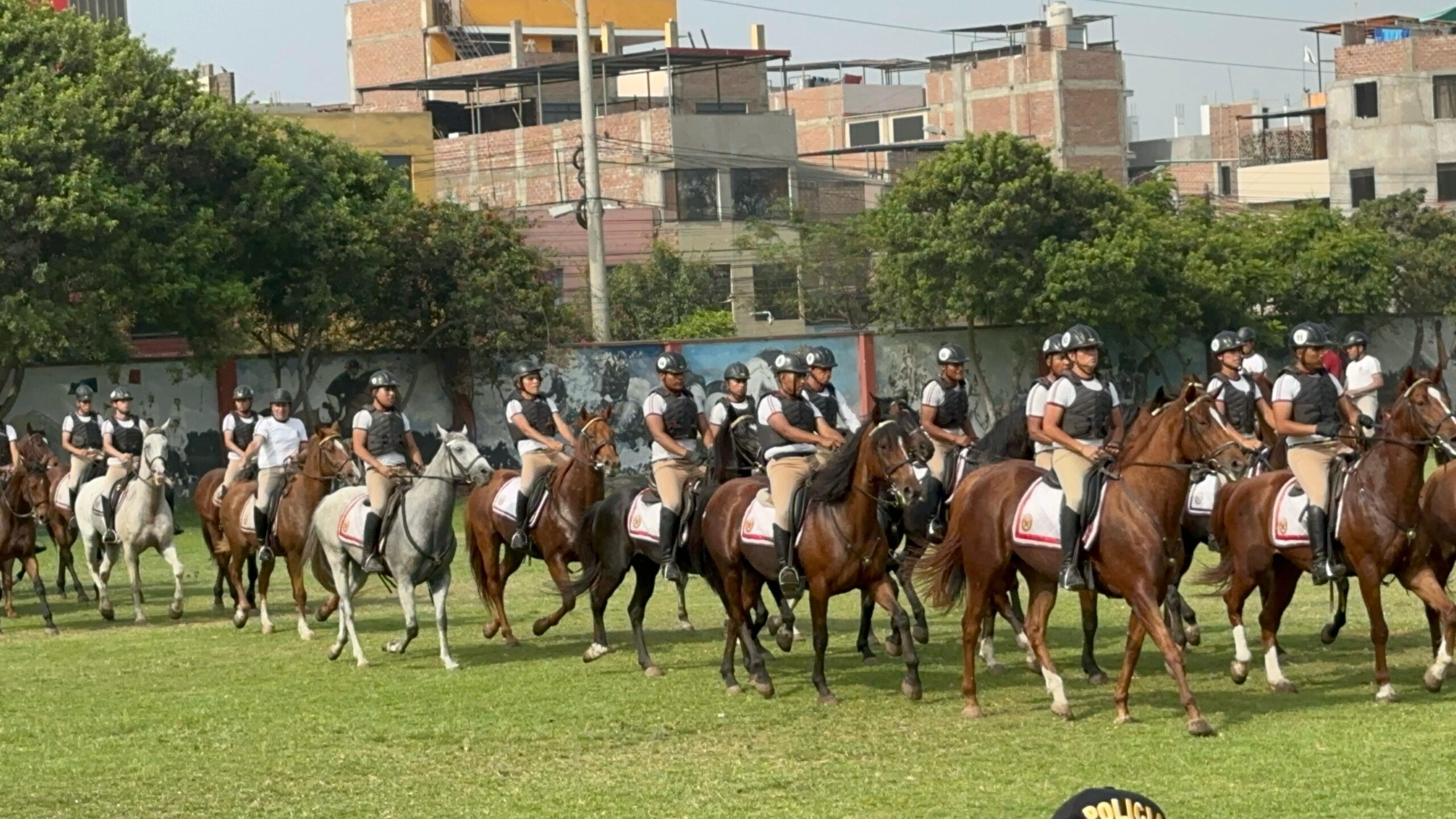 Actividades
